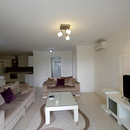 Royal Palm * 博德鲁姆