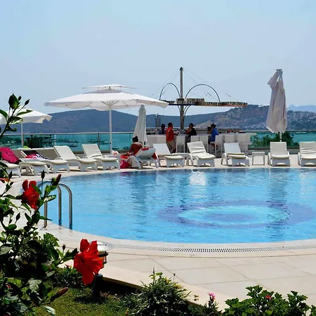 Royal Palm Apartment