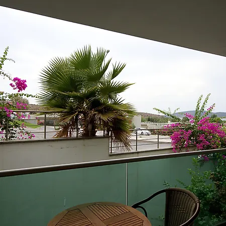 Royal Palm Apartament *