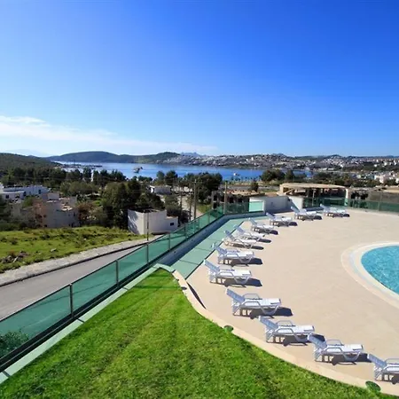 Royal Palm Apartment *