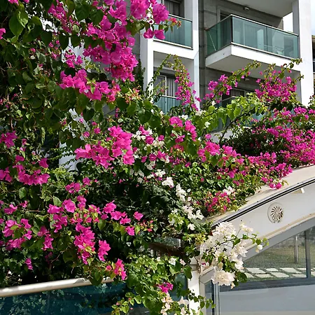 Apartamento Royal Palm Bodrum