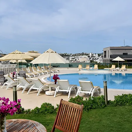 Royal Palm Apartment *