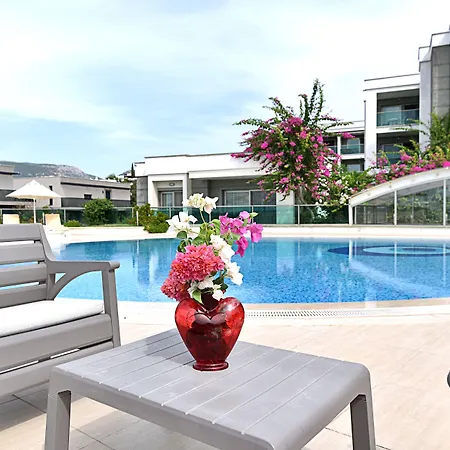 Royal Palm Lägenhet *