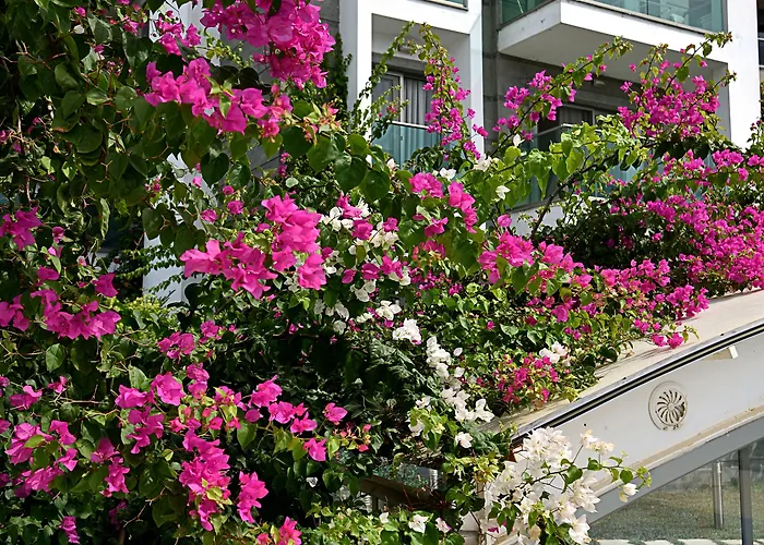 Apartamento Royal Palm Bodrum